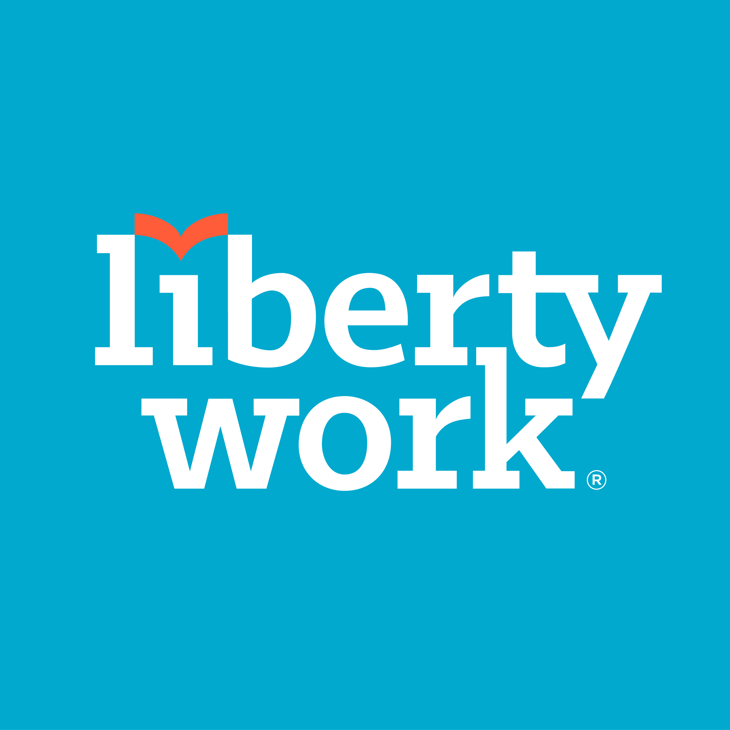 Liberty Work bv